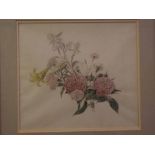 Cecil Leslie, signed and dated 1962, watercolour, Botanical study, 12 x 14ins together with