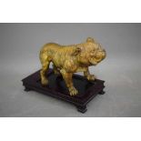 Gilded cast metal model of a bulldog, 7ins long, on a probably non-matching Oriental base, 7 1/2 ins