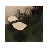 Set of four Retro black painted wire work chairs, by Harry Bertora, (with two seat covers only) (4)