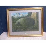 Watercolour of pig bear signature J Lynch 87 Framed & glazed 37x50cm