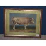 Oil painting bovine study of a bull in a landscape PLEASE always check condition before bidding or