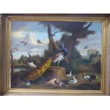 Large oil on canvas 'Still life - Exotic Birds & Wildfowl' 92H x 121W cm, in swept gilt frame PLEASE