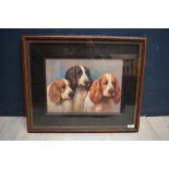 Framed oil painting portrait of spaniel dogs, 30x40cm PLEASE always check condition PRIOR to