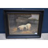 Oil painting study of a pig beside a thatch barn, 30-40cm PLEASE always check condition PRIOR to