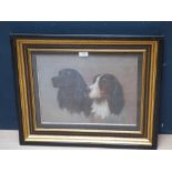 Gilt and ebonised framed oil painting study of Spaniels, 29.5x39.5cm PLEASE always check condition