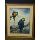 Gilt framed ornithological oil painting of blue macaws on tree bows, 58x45cm PLEASE always check