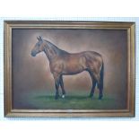 'Mark Smallman' (C20th) 'Study of Bay Horse', (Highridge 'M' Bronski) oil on canvas, signed &