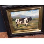 An ebonised framed oil painting bovine study of a short horn bull in a landscape with hills