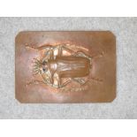 Arts & Crafts copper plaque with embossed beetle with blue stone eyes with Maker's mark to the back,