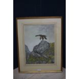 Watercolour of a bird of prey, f/g, bears signature 'Woodhouse' 44 x 32 cm