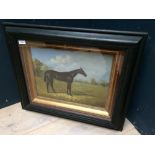 An ebonised framed equine oil painting of a 'Black Thoroughbred Horse in a Landscape', 29 x 39.5 cm