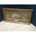 C19th/20th oil on board "The White Rat", framed & glazed, 15 x 34 cm