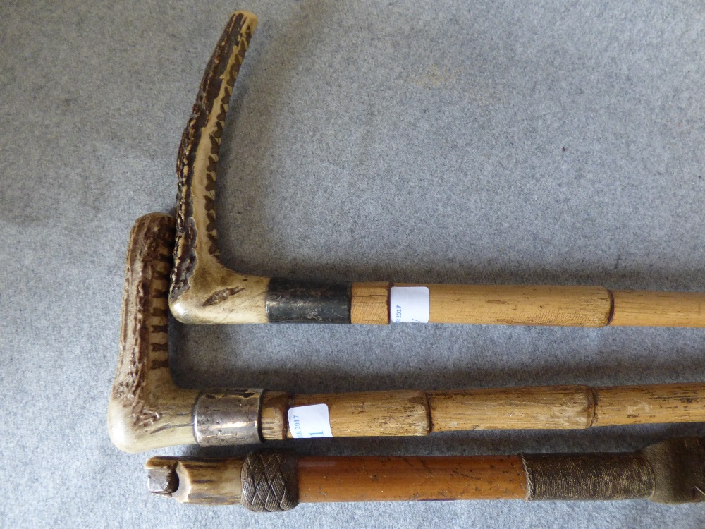 2 Antler handled hunting whips, with silver collars. and beagling whip - Image 2 of 2