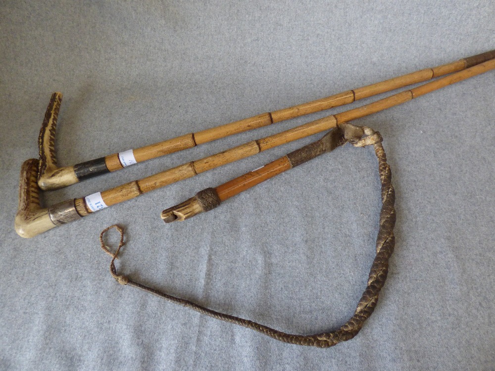 2 Antler handled hunting whips, with silver collars. and beagling whip