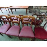 Set of 6 Victorian mahogany dining chairs & a pair of Victorian mahogany dining chairs