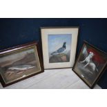 Oil on board of terrier, racing pigeon, salmon & perch on the riverbank