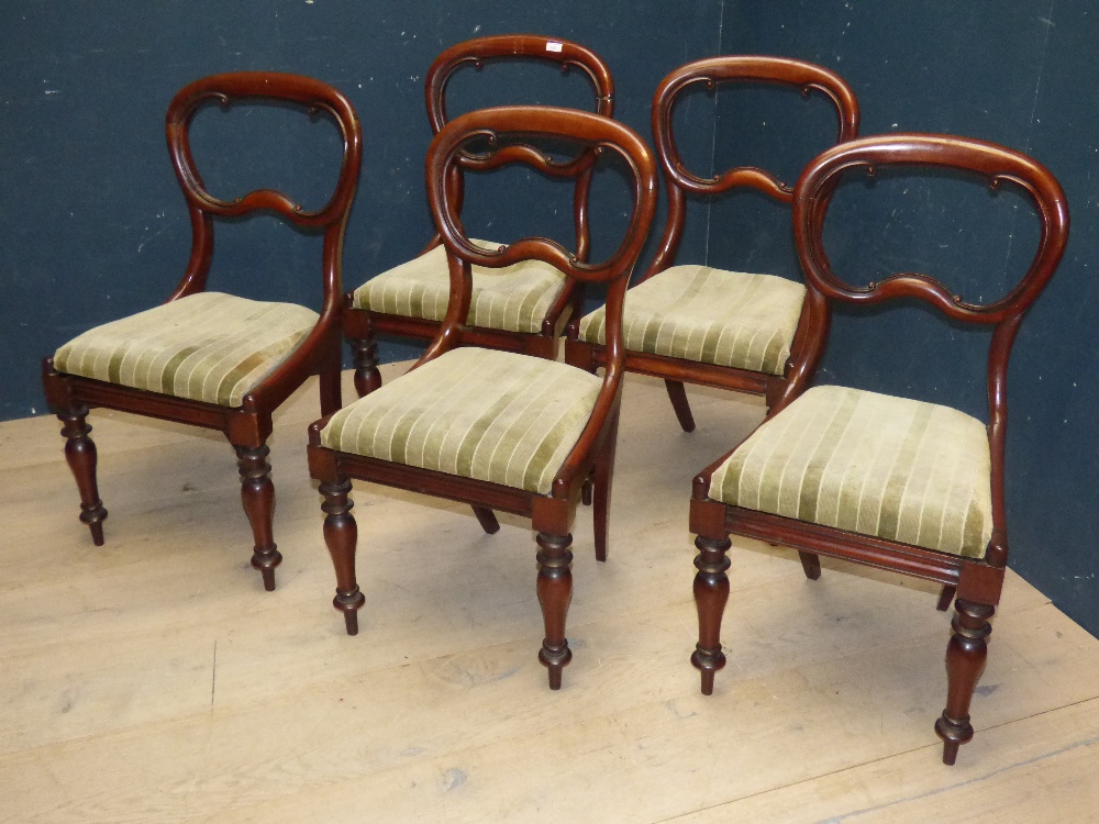 A set of five Victorian mahogany kidney back dining chairs