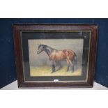 Oak framed oil painting study of a 'Bay horse in a stable', 26 x 37cm