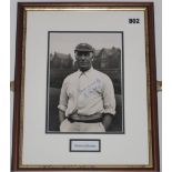 Wilfred Rhodes. Yorkshire & England 1898-1930. Original mono photograph of Rhodes, half length,