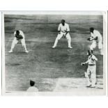 West Indies tour to England 1966. Four original mono press photographs taken during the third