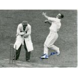 England Test players. Eight mono press photographs, two laid down to larger white card. Each