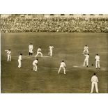 Australia tour to England 1926. Original large sepia photograph of the fifth Test match at The