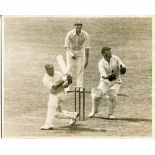 Surrey v Warwickshire 1933 and 1934. Three original mono press photographs of match action from