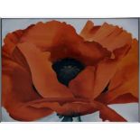 After: Georgia O'Keeffe, American (1887-1986) Red Poppy Print. Good condition. Measures 22-1/4" H