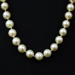 Vintage Single Strand Pearl Necklace with Sapphire, Ruby and 14 Karat Yellow Gold Clasp. Clasp