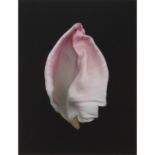 Joyce Tenneson, American (b. 1945) "Intimacy Tulips" Limited Edition Photograph. Dated 2007,