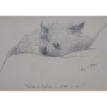 19th Century American Pencil Drawing "Small Dog" Tilted "What is Sylvia - what is she?" and dated
