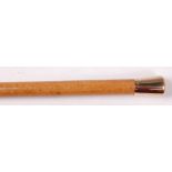 A malacca walking cane, having horn tip and plain 9ct gold knop,