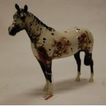 A Beswick figure of an Appaloosa stallion, model No.