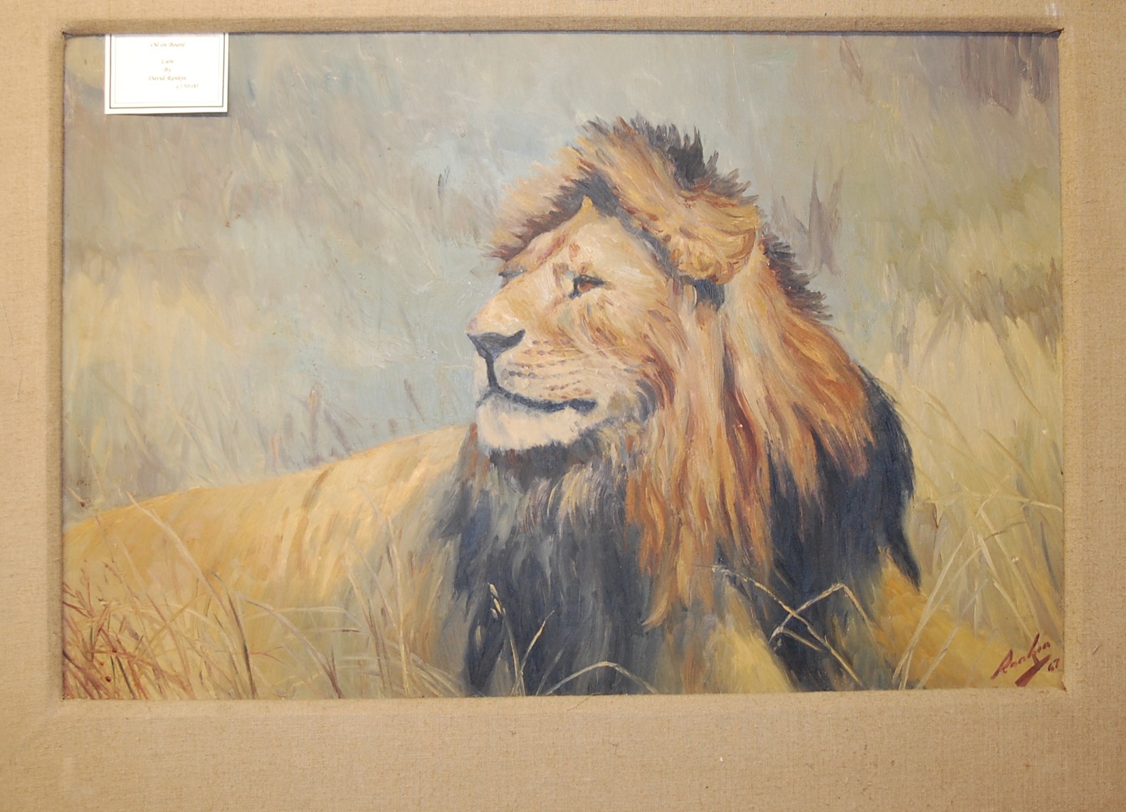 David Rankin - lion, oil on board, signed and dated lower right '67,