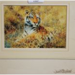 David Shepherd - print of a tiger, signed in pencil to the mount,
