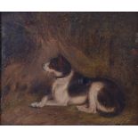 Martin Theodore Ward (1799-1874) - Study of a recumbent terrier, oil on canvas,