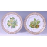 A pair of Royal Copenhagen Flora Danica cabinet plates, each having pierced borders,