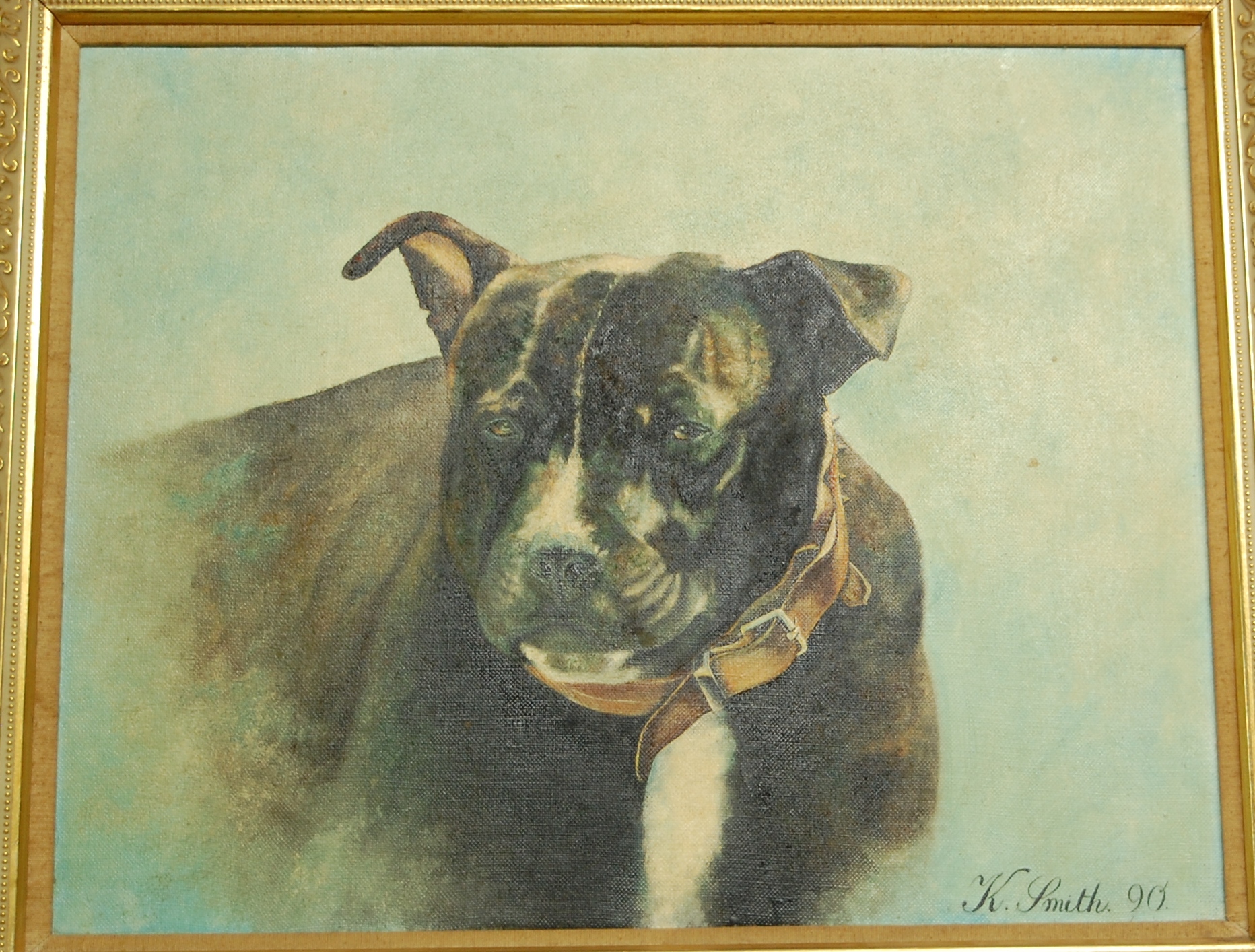 Kay Smith - Study of a Staffordshire bull terrier, oil on canvas, signed and dated lower right '90,