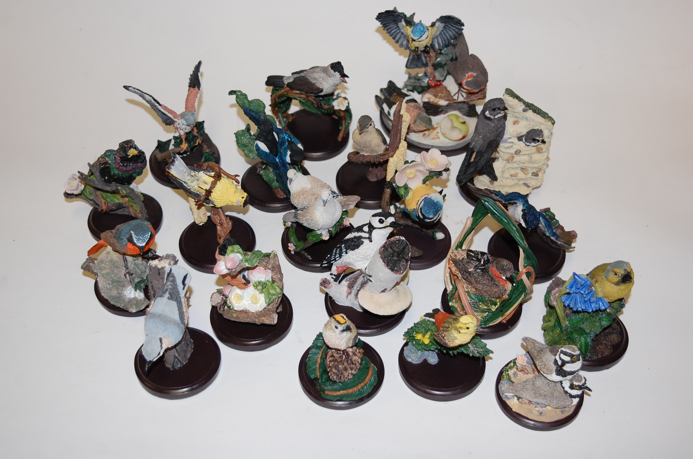 A collection of assorted Country Bird Collection resin bird figures, to include; Sandmartin,