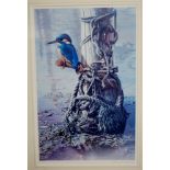 Terence James Bond - Woodpecker on the riverbank, limited edition lithograph,