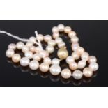 A modern cultured and knotted pearl single string choker,