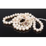 A cultured and knotted pearl single string necklace, having vintage 9ct gold,