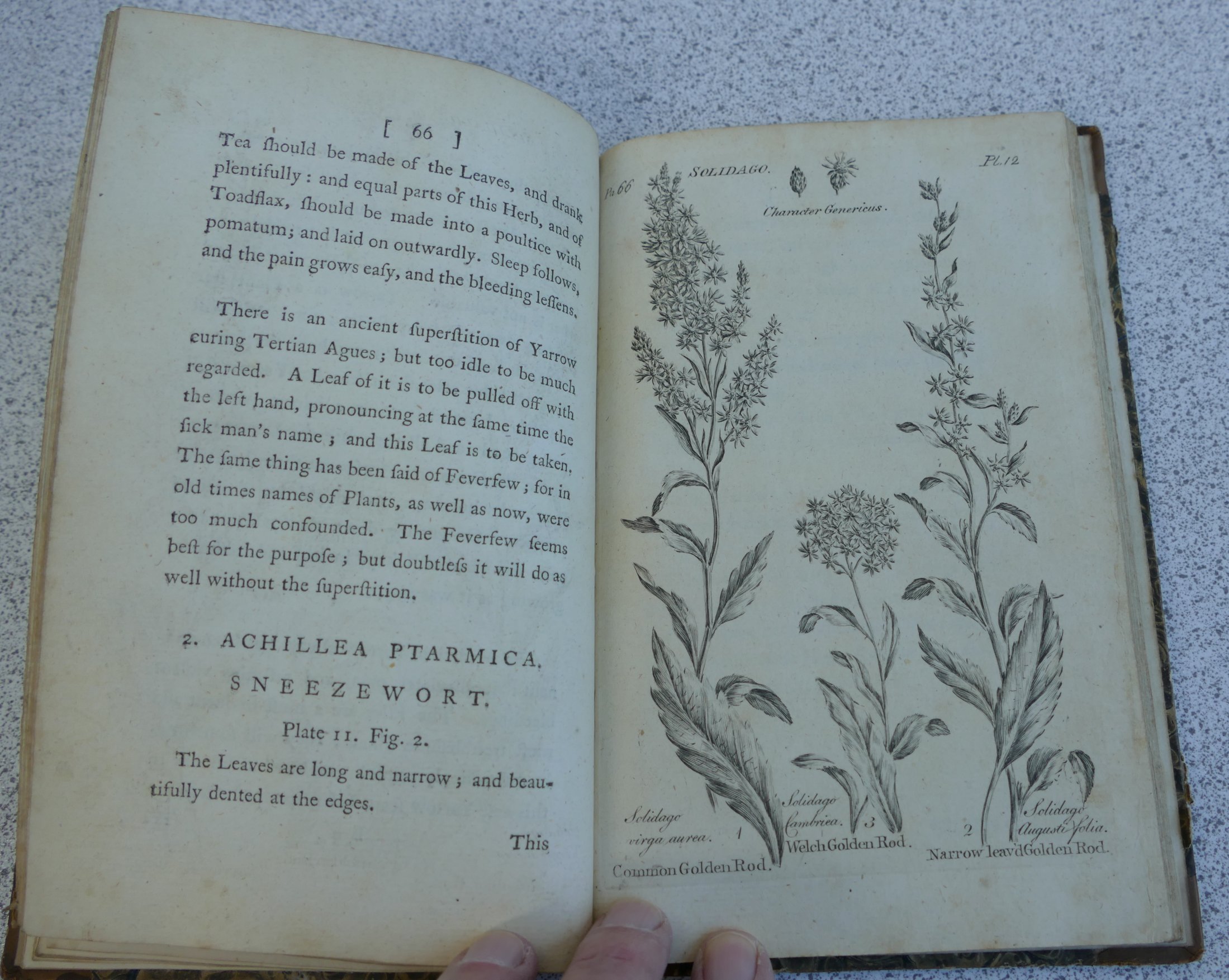 HILL John Sir, Virtues of British Herbs, London 1771, 4th edition with additions, Parts 1 and II, - Image 6 of 7