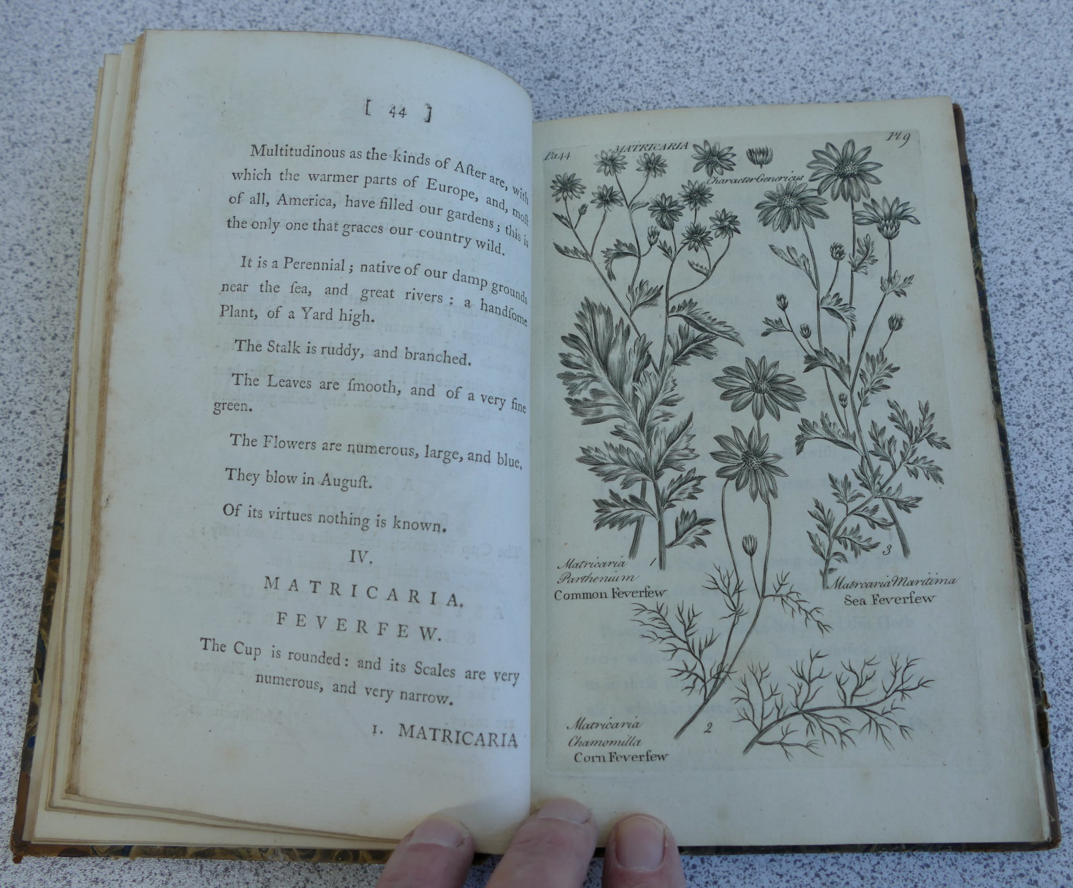 HILL John Sir, Virtues of British Herbs, London 1771, 4th edition with additions, Parts 1 and II, - Image 5 of 7