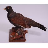 A taxidermy Capercaillie (Tetrao urogallus), mounted on a bough and wooden plinth, h.44cm.