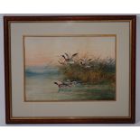 Thomas Smythe (1825-1907), Ducks in marshland, watercolour, signed lower left, 30 x 42.5cm.