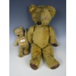 Two vintage teddy bears