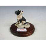A boxed Border Fine Arts figurine of a collie dog puppy, JH15