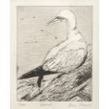 Jean Thomas (Contemporary) Gannet, intaglio print, 19/60, framed and mounted glass, 15 x 12 cm,