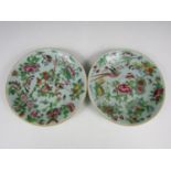 A pair of Chinese celadon ground famille rose plates decorated with blossoms and butterflies